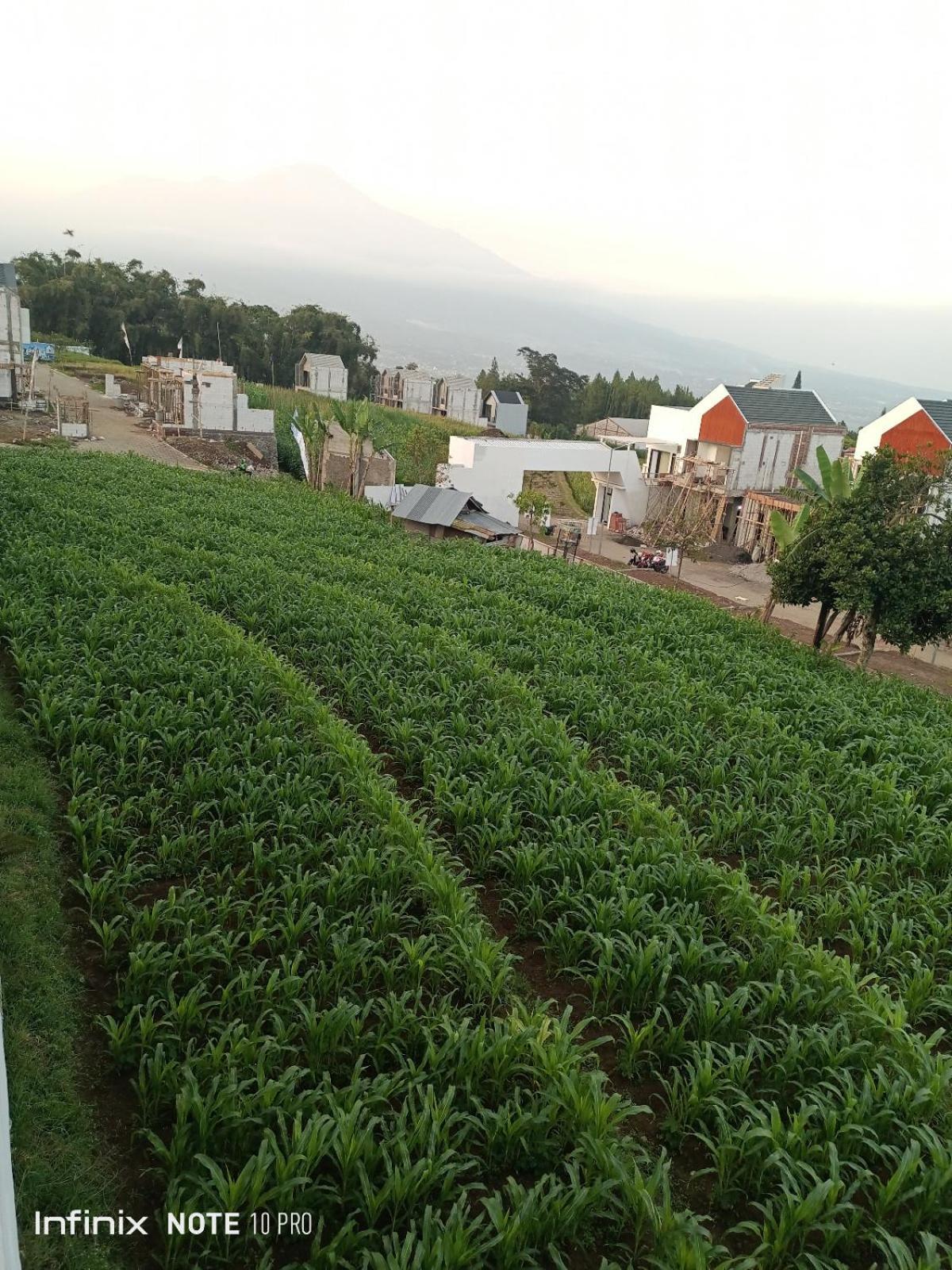 Villa Alraza Tlekung Buitenkant foto